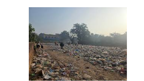 Strict-Steps-To-Keep-The-City-Cl